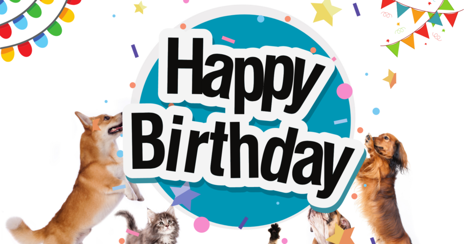 Happy Birthday Dog