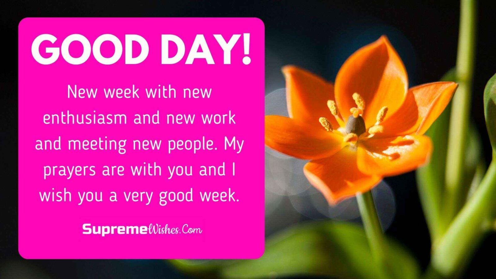 50+ I Hope You're Having A Good Day Quotes Supreme Wishes