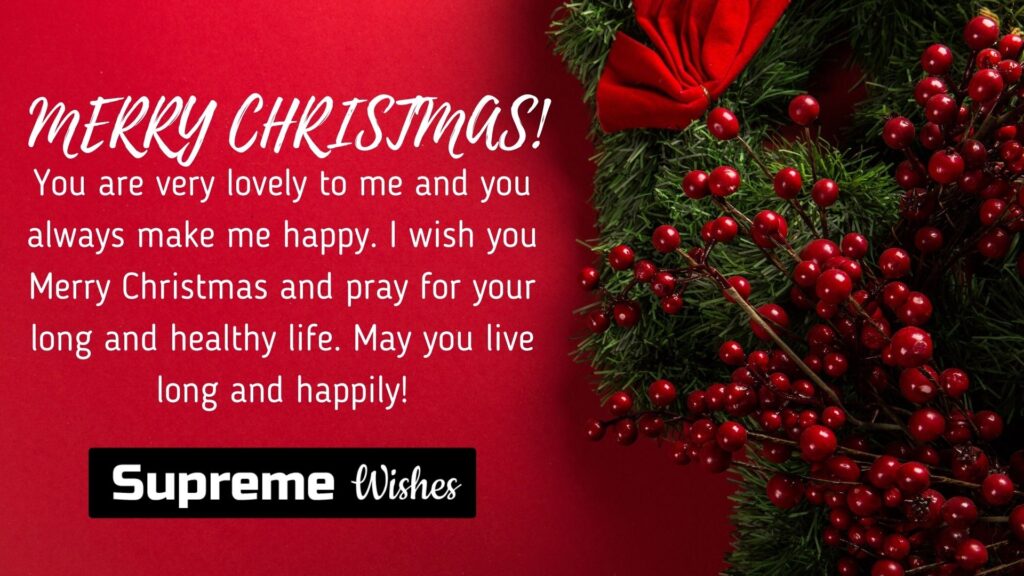 Merry Christmas Grandson