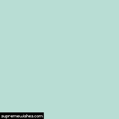 Happy birthday cat gif