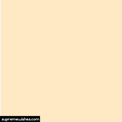 cute cat birthday gif