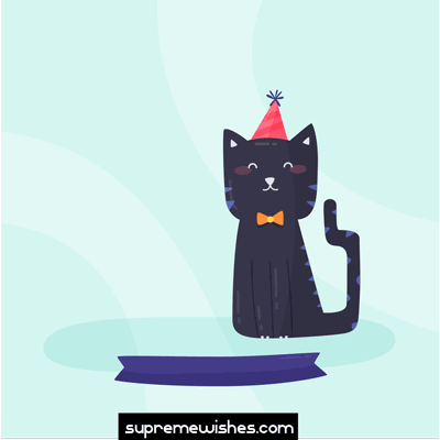 cute cat happy birthday gif