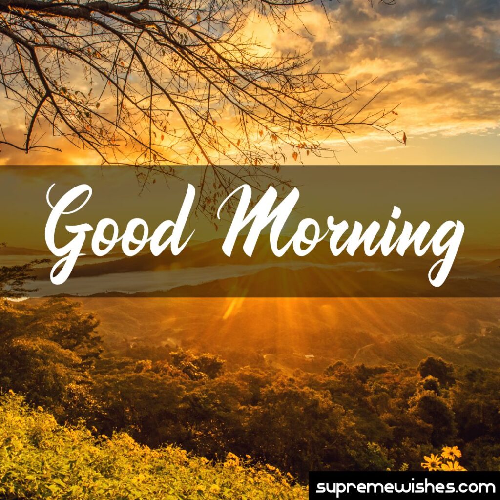 good morning pics