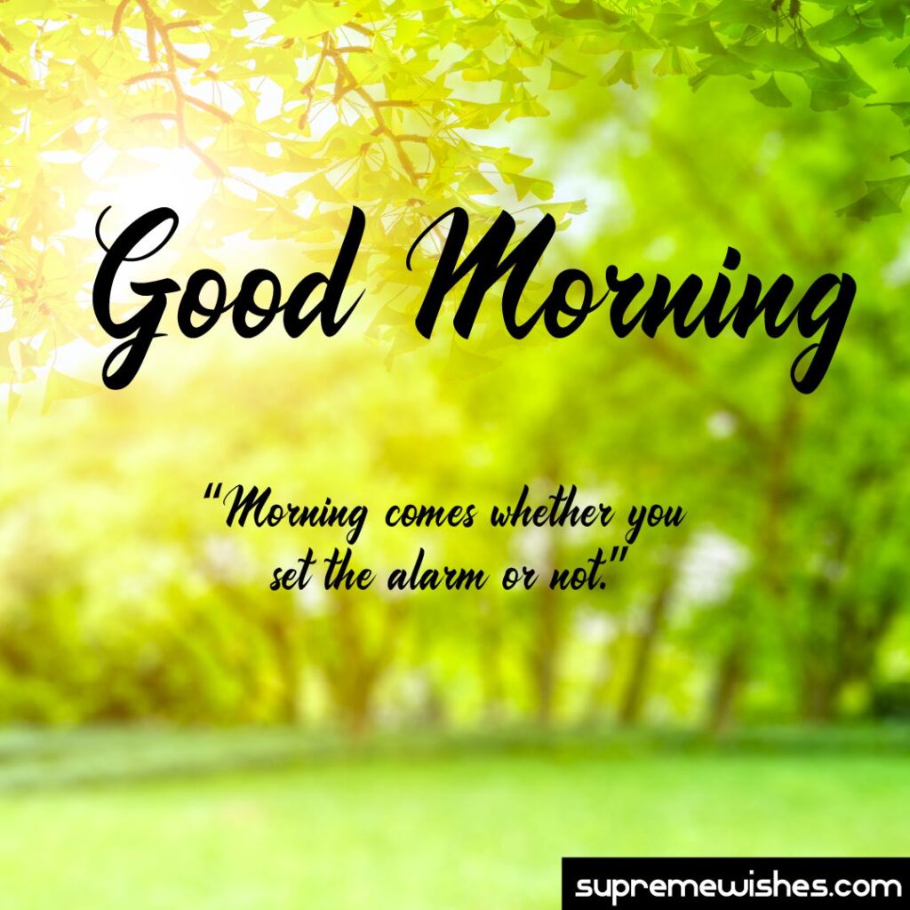 hello good morning kid