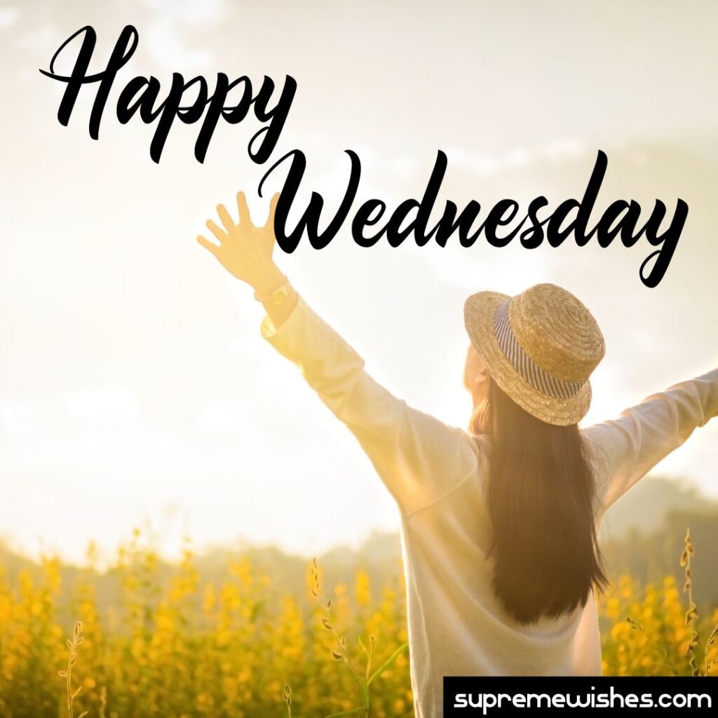 happy wednesday morning