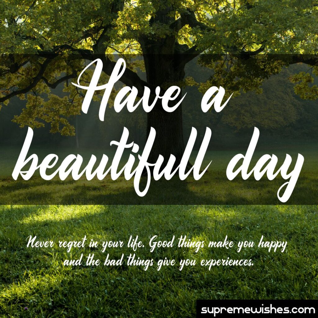 have beautiful day quotes