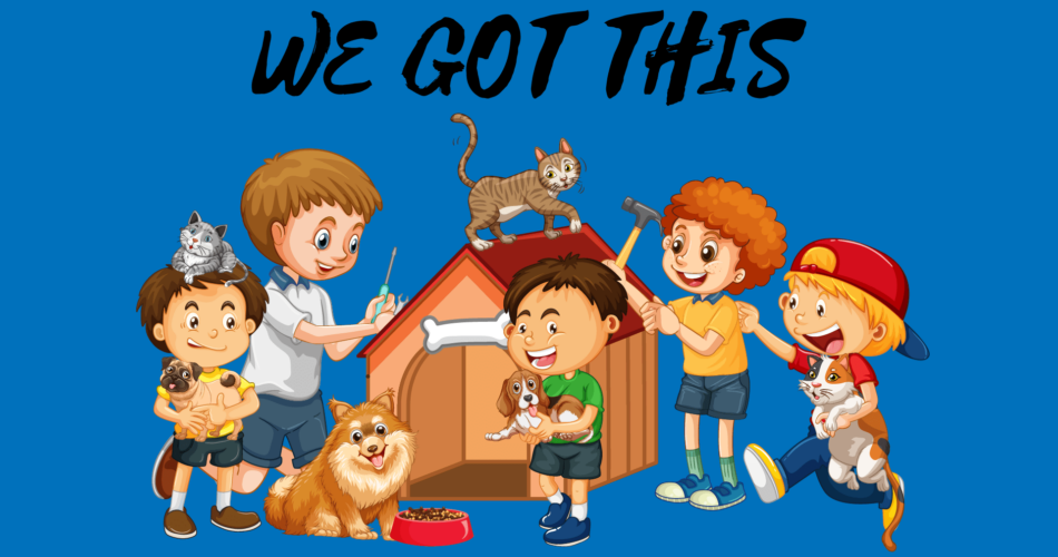 we got this gif collection