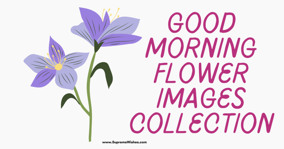 Good morning flower images