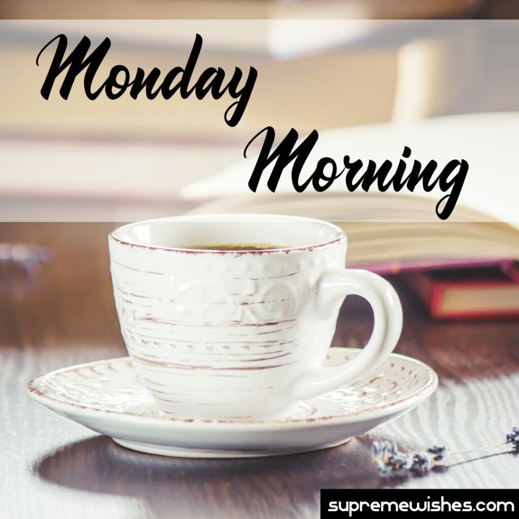 Monday morning image 
Happy monday morning