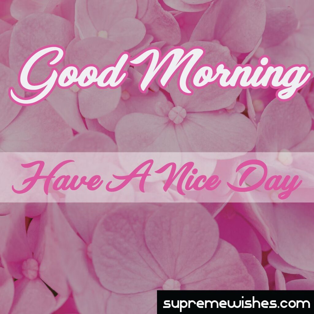 good morning wish