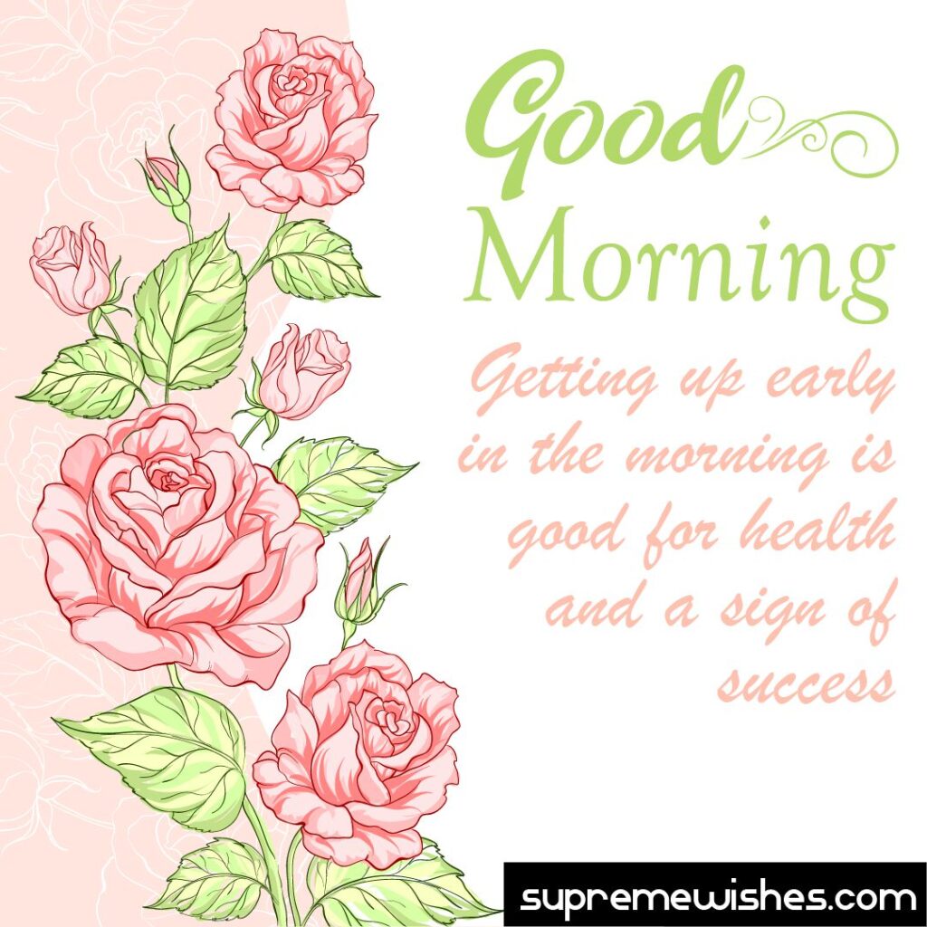 Flower good morning image wish