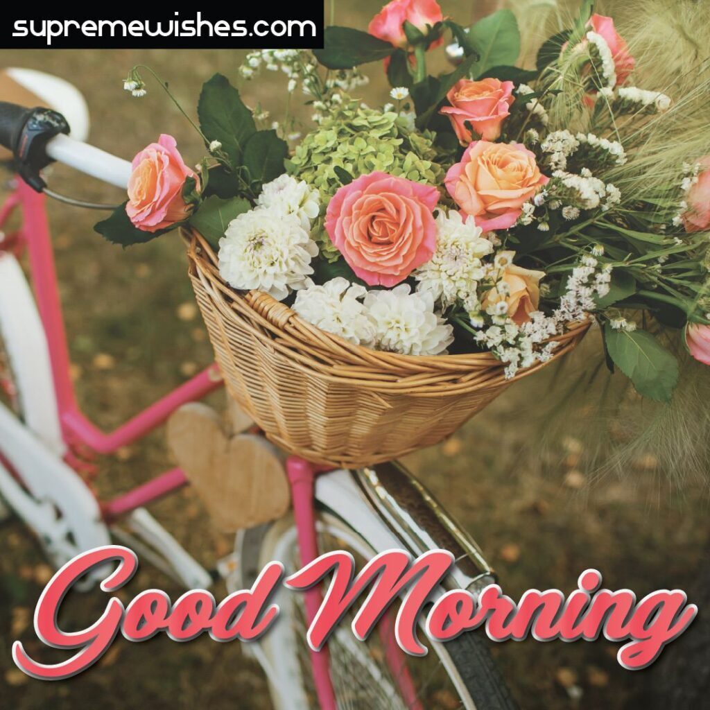 Flower bucket good morning image