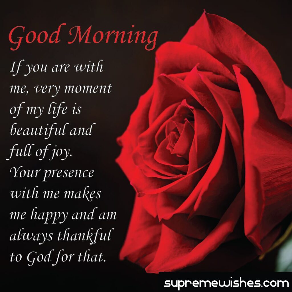 good morning rose images