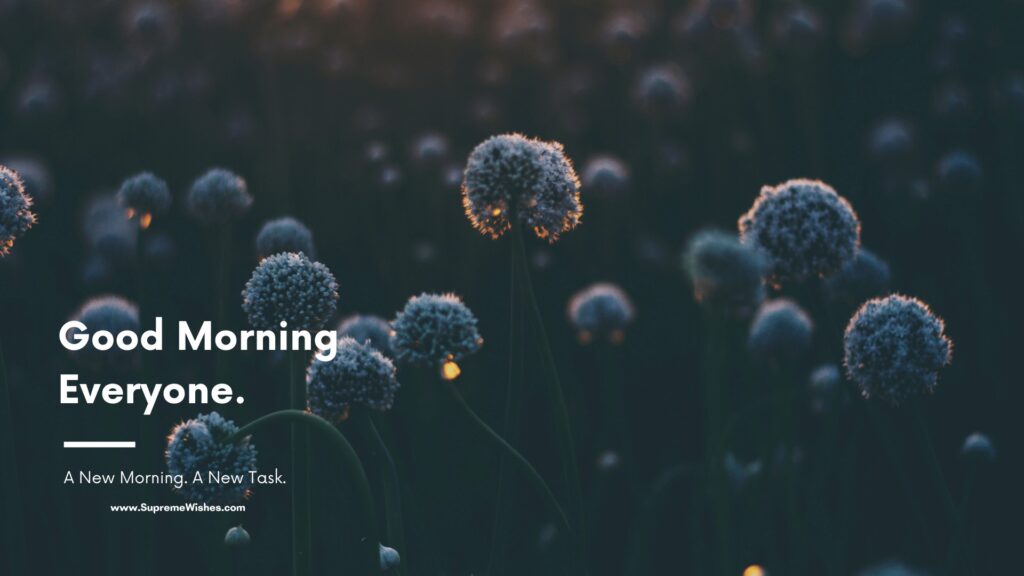 Good Morning Inspirational Quote