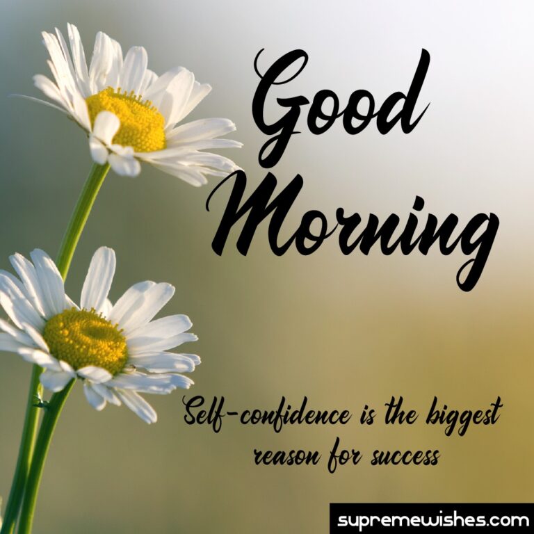 Good Morning Friends