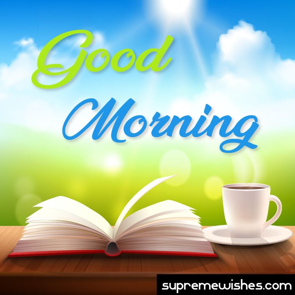Good morning everyone