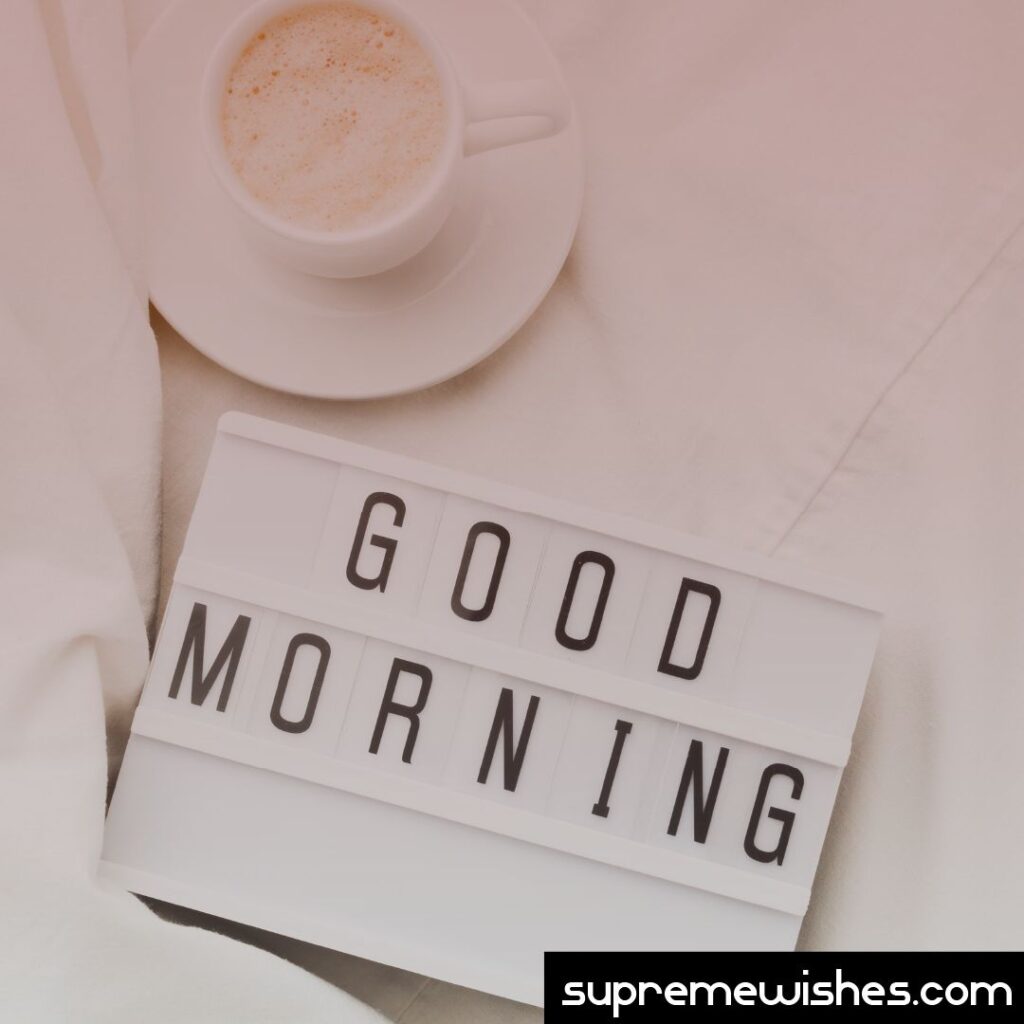 Good Morning everyone