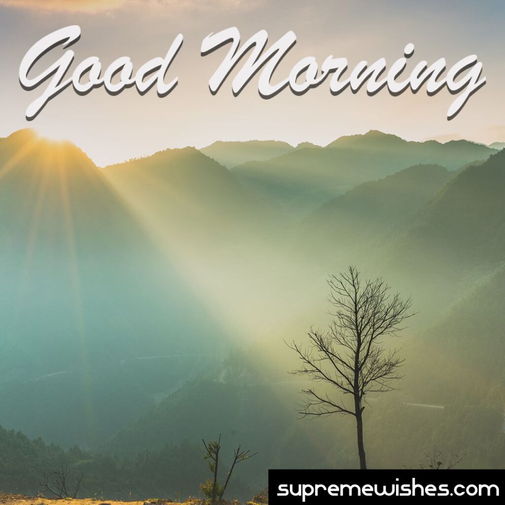 Good morning everyone