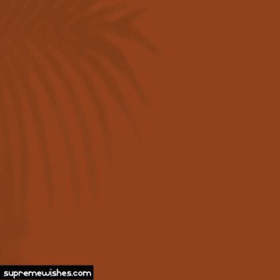 Creative happy saturday gif