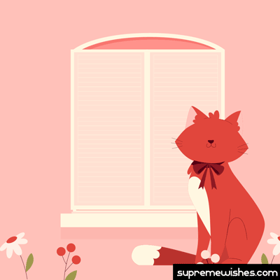 valentines day cute gif