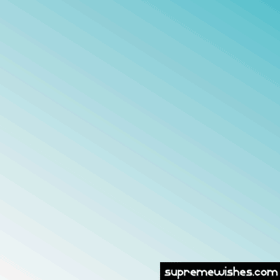 happy wednesday gif